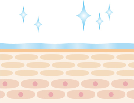 くすみ・ゴワつきのない明るくやわらかな肌へ。